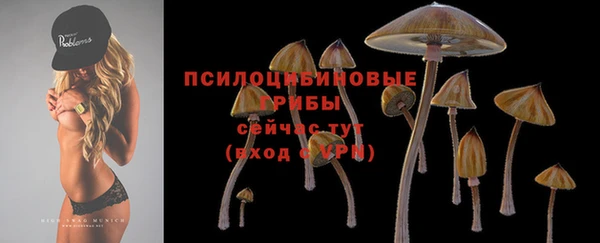 дурь Кукмор