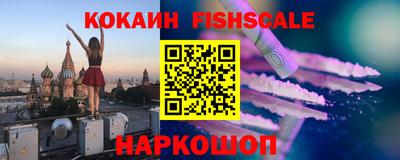apvp Гатчина