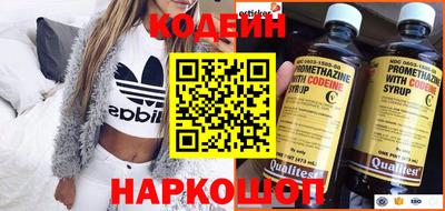 apvp Гатчина