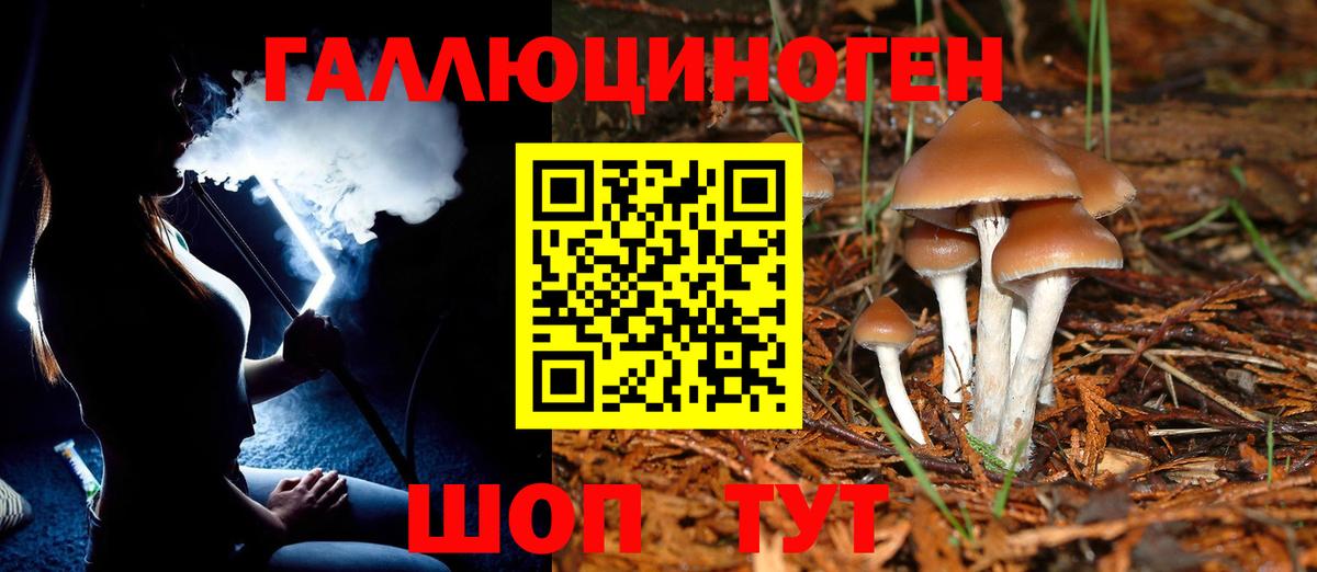 Галлюциногенные грибы ЛСД  Вход с VPN  Псилоцибиновые грибы Psilocybine cubensis  Гатчина 