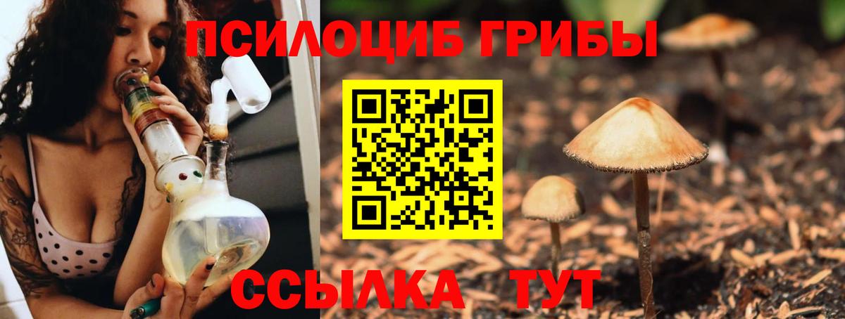 Галлюциногенные грибы MAGIC MUSHROOMS Гатчина