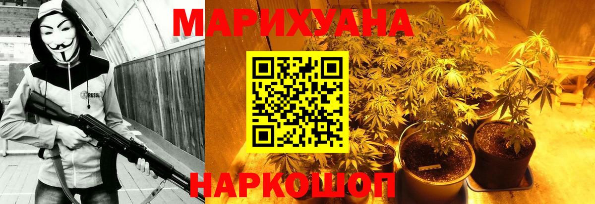 Канабис Ganja Гатчина
